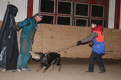 Training in Estonia 3/2007